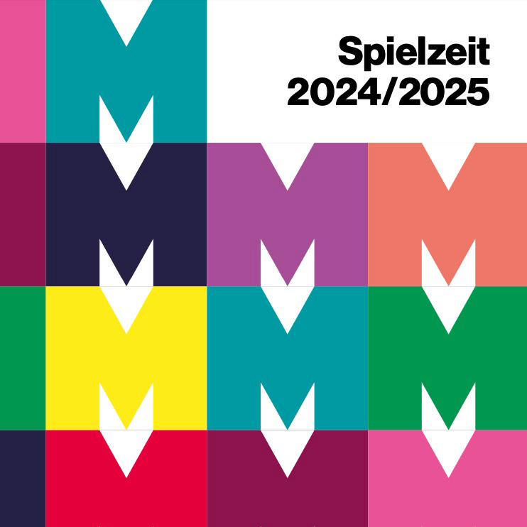 Arbeitsbeispiel Mecklenburgisches Staatstheater Schwerin Werbeagentur Landsiedel Müller Flagmeyer